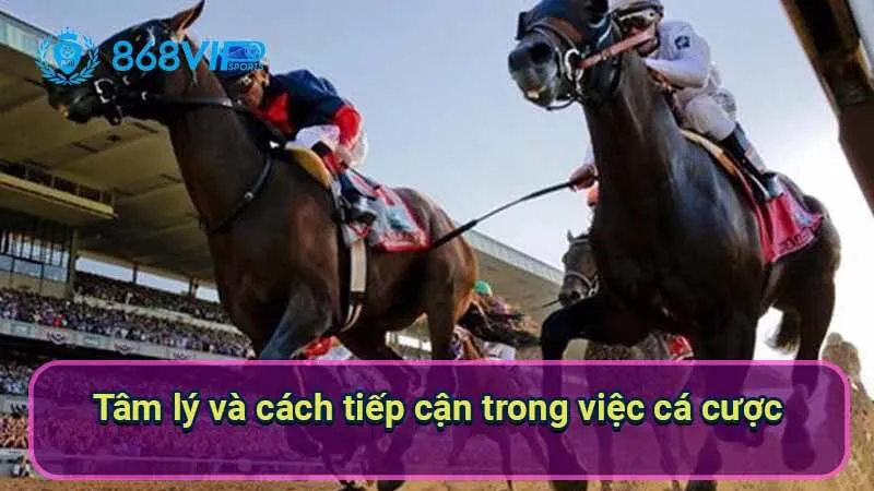 tam-ly-va-cach-tiep-can-trong-viec-ca-cuoc